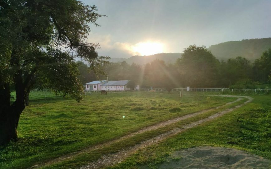 Осень на ранчо: конная прогулка и отдых в Предгорье